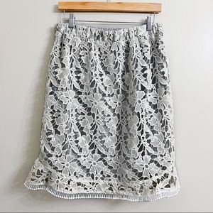 Lace Flirty Skirt